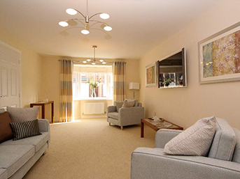 Budget rental carpet