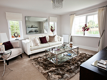 Good rental carpet offers