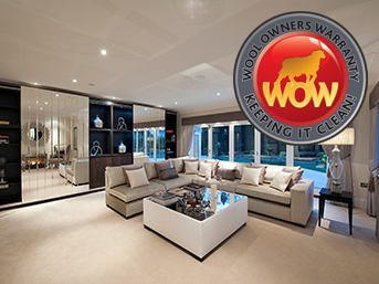 luxury rental carpet