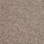 Tomkinson Twist Regular - Dollar £20.50m2 fitted nationwide within 7 days