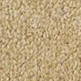 Beige - Dublin Twist £13.99m2 fitted nationwide within 7 days