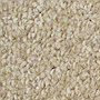 Berber - Dublin Twist 13.99m2 fitted nationwide within 7 days